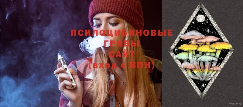 Псилоцибиновые грибы Cubensis  Боровск 